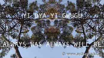 Library adopts sector-leading Indigenous protocols - University of Sydney