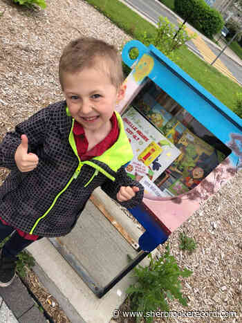 Farnham's book-sharing boxes get an injection of children's books - Sherbrooke Record
