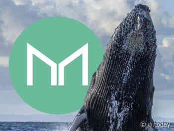 Maker (MKR) Faces 21% Spike in Whale Activity: Details - U.Today