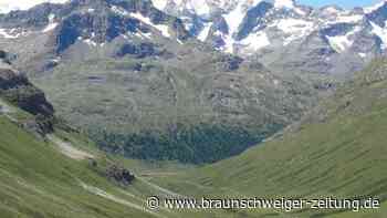 Alpen ergrünen im Klimawandel - Alpen-Flora bedroht