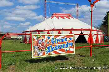 Der Circus Alessandro sucht nach Unfall in Kirchhofen eine Bleibe - Ehrenkirchen - Badische Zeitung