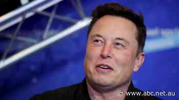 Elon Musk and Aussie tech billionaire clash in Twitter spat over 'return to office' directive