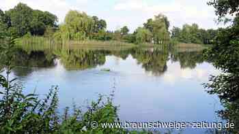 Gemeinde warnt: Blaualgen-Befall im Bromer Ohresee
