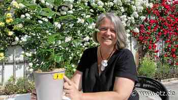 Rosentaufe und Einblick in ein „geheimes“ Zimmer auf den Dornburger Schlössern