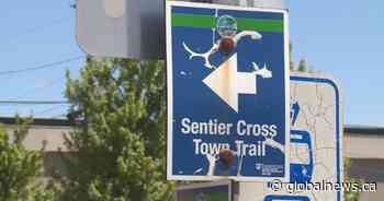 Fredericton trail group questions new route approved by council - Global News