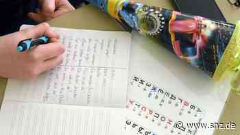 Krieg in der Ukraine: So werden Flüchtlingskinder in Tornesch in Schulunterricht integriert - shz.de