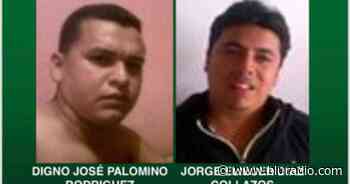 ‘Digno Palomino’ y ‘Castor’, libres luego de que justicia colombiana no pidiera extradición - Blu Radio