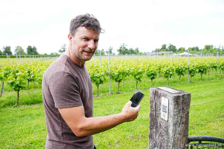 Wijnboer Jürgen lanceert ‘gsm-rondleiding’: “Klanten moeten weten hoeveel werk er in een fles kruipt”