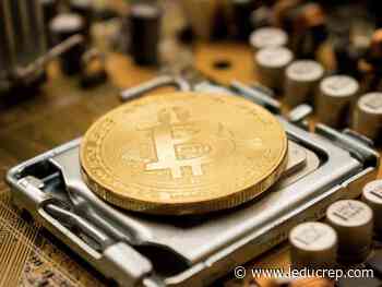 New Bitcoin scam targeting businesses - Leduc Representative