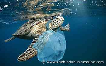 French shipping major CMA CGM stops transporting plastic waste on board its ships - BusinessLine