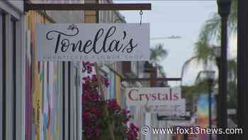 New Wesley Chapel shipping container park opens with dozens of restaurants, shops - FOX 13 Tampa