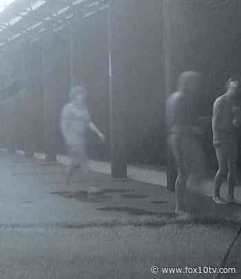 CAUGHT IN THE ACT: Loblolly Farm vandals caught on trail camera - Fox 10 News