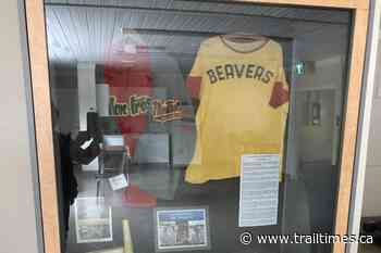 Montrose Family Fun Day returns on Saturday - Trail Times