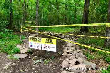 Trail Flow: The Newest Trails Coming to Illinois, Texas, Florida, and Aspen - Singletracks.com