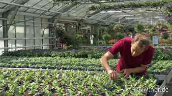 Schädlingsbekämpfung ohne Chemie-Keule - NDR.de