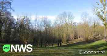 Limburgse Milieukoepel wil geen bedding voor trambus door beschermde natuurgebieden in Bilzen en Lanaken - VRT NWS