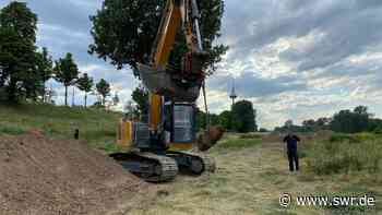 Mannheim: Fliegerbombe aus dem 2. Weltkrieg entschärft - SWR Aktuell