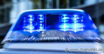 International gesuchter Straftäter in Mannheim gefasst - Baden-Württemberg - Rheinpfalz.de