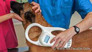 Austin Animal Center hosting free microchip, rabies vaccine clinic - FOX 7 Austin