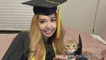 Cat 'graduates' from UT Austin after attending every Zoom lecture with owner - FOX 7 Austin
