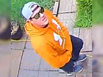Police seek suspect after chainsaw taken in south end break-in