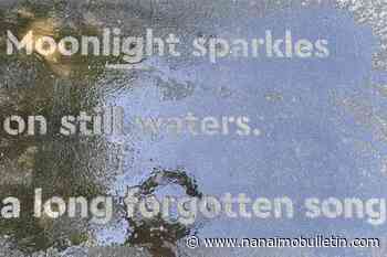 City of Nanaimo unveils ‘Hidden Messages’ public art project to encourage physical activity