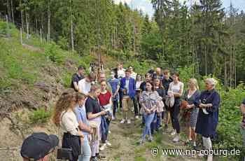 Frankenwald-Gymnasium - Schüler forschen zum Waldumbau - Neue Presse Coburg