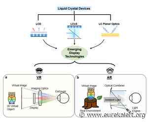 Advanced liquid crystal devices for AR/VR displays: Principles and Applications - EurekAlert