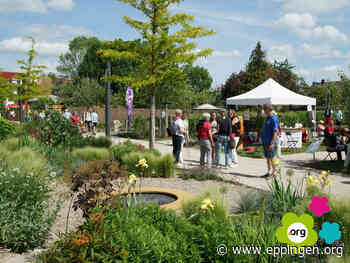 ▷ Gartenschau erweitert die Einlasszeiten - Eppingen.org