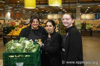 ▷ Kein Vitamin B für den Traumjob nötig! - Eppingen.org