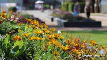 Über 10.000 Besucher bereits auf Gartenschau Eppingen - SWR Aktuell