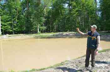 Mehr Lebensraum für Amphibien schaffen - Hardheim - Nachrichten und Informationen - Fränkische Nachrichten