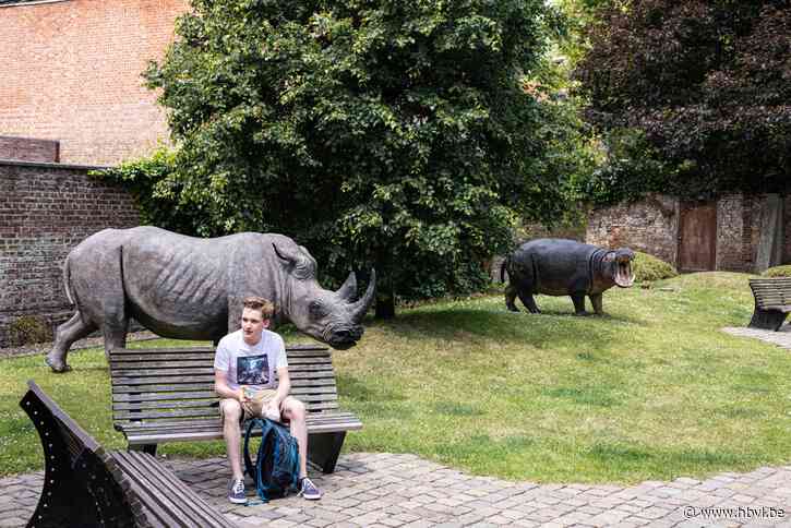 Aai eens een neushoorn in hartje Tongeren