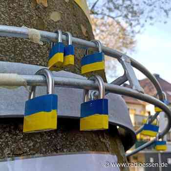 Spenden-Aktion in Essen für die Ukraine: So läuft es mit dem Friedensbaum - Radio Essen