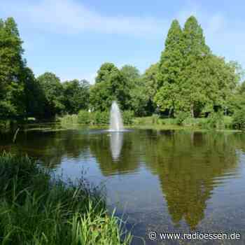 Essen: So hat sich der Kaiser-Wilhelm-Park verändert - Radio Essen