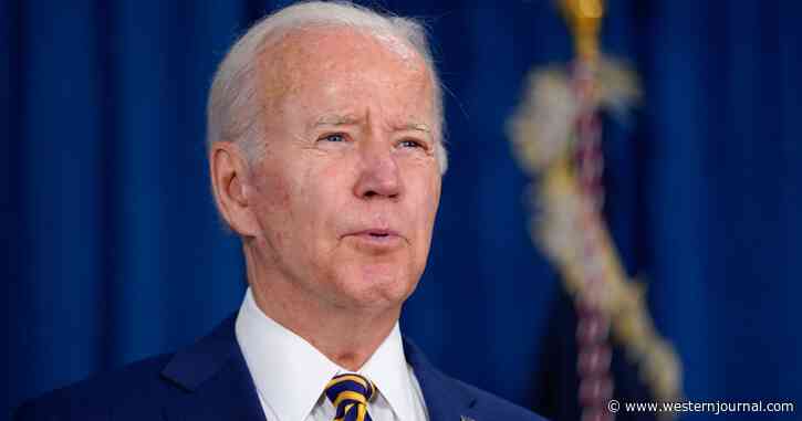 White House Adviser Admits Biden Isn't a 'Relevant Official' and Was Passed Over with Critical Information