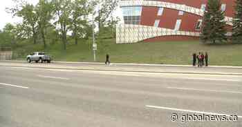 Calgary police seek witnesses after pedestrian hit on MacLeod Trail