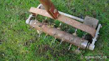 $50 rebate aims to make Cornwall's grass greener - CBC.ca