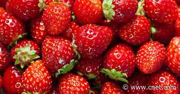 Can Strawberries Give You Hepatitis A? What to Know     - CNET