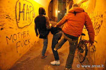 Calci e pugni a un 17enne, a Parma denunciati cinque minori - Agenzia ANSA