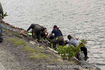 BREAKING: Emergency crews rush to Harrison Lake for rescue operation – Langley Advance Times - Langley Advance Times