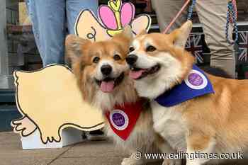 Revellers celebrate 'unifying' Queen with corgis and Elvis impersonator - Ealing Times