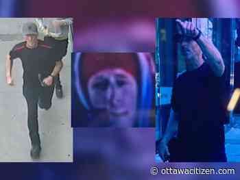 Police seek suspect in downtown, ByWard Market assaults