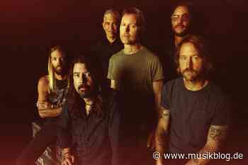 Foo Fighters (feat. Greg Kurstin) – Stay (I Missed You) – Neuer Coversong - musikblog.de