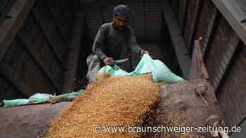 Afrikanische Union: Putin bereit zum Getreide-Export