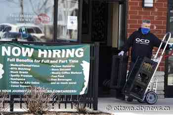 US job openings decline from record level but remain high - Ottawa.CityNews.ca