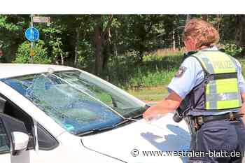 Autofahrerin erfasst mit VW Up Radfahrer (42) aus Verl - Westfalen-Blatt