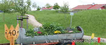 40 Jahre Gartenbauverein Traunwalchen: Das Gartenjahr steht im Zeichen des Jubiläums - Traunsteiner Tagblatt
