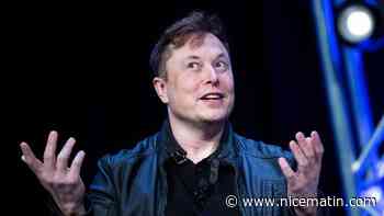 Des associations américaines veulent empêcher Elon Musk de racheter Twitter