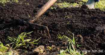 Samentuin Rossevelt opent voor grote publiek | Lebbeke | hln.be - Het Laatste Nieuws